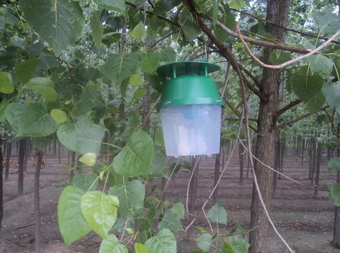 生物药剂  安徽田林康病虫害防控科技有限责任公司