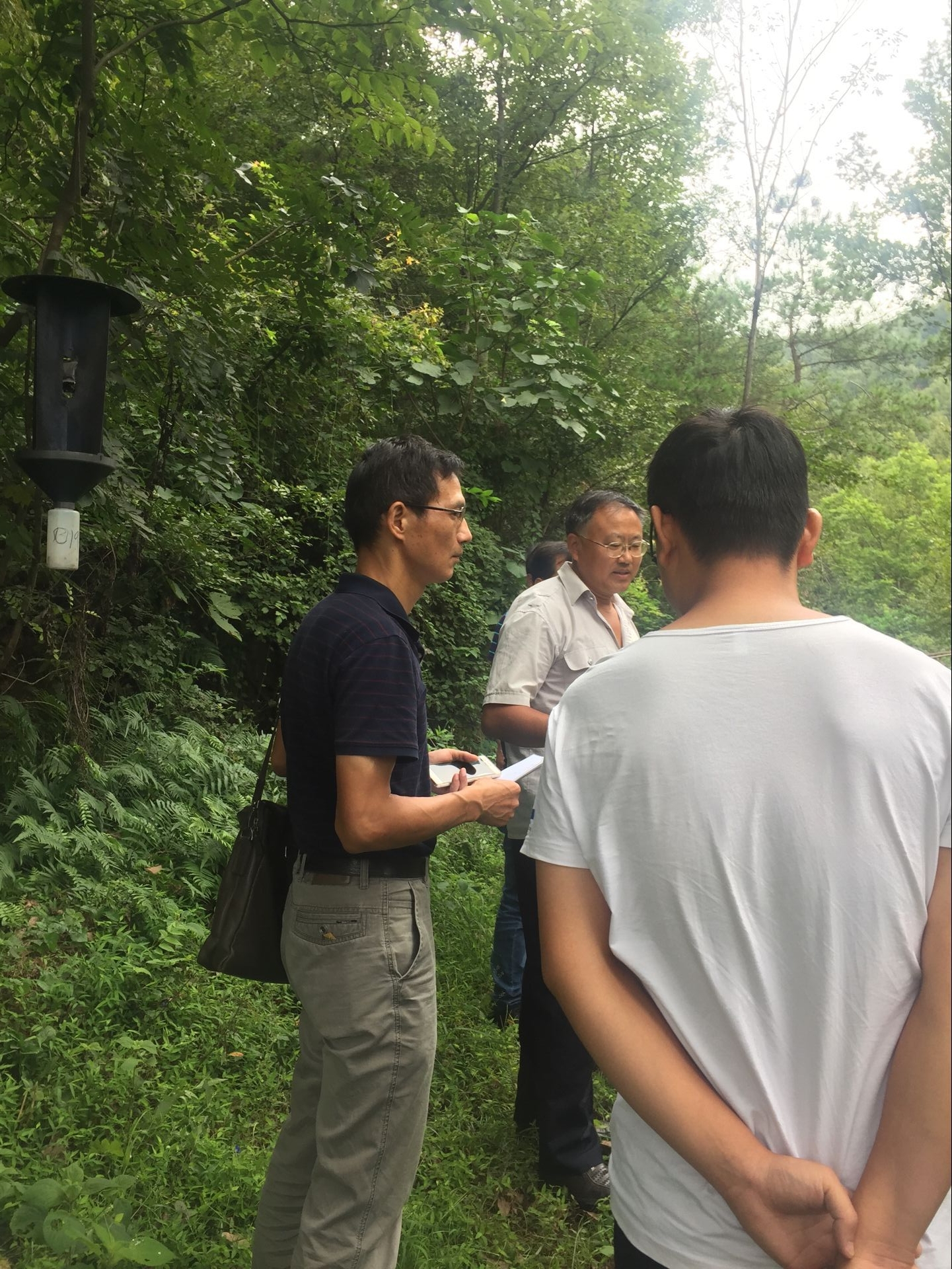 枞阳县松材线虫病综合防治项目验收