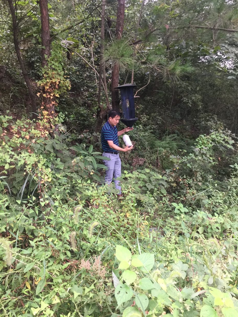 枞阳县松材线虫病综合防治项目验收