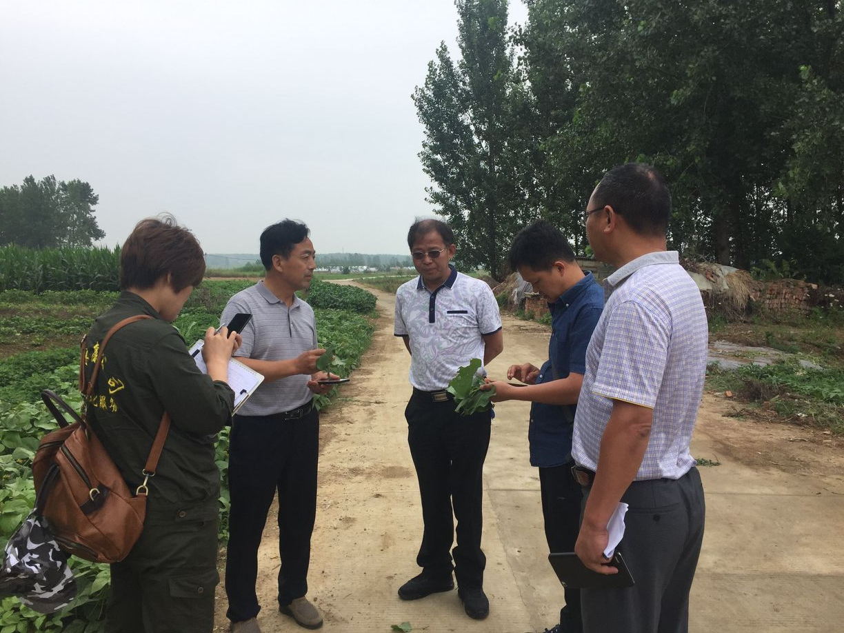 公司加入肥东2018飞防项目第一次验收