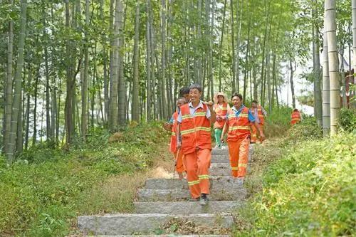 安徽刷新树模 于变局中开新局