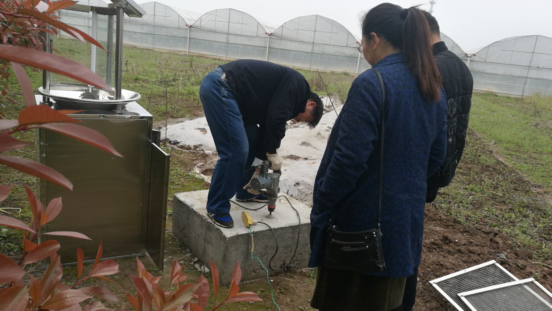 芜湖市鸠江区开展有害生物监测