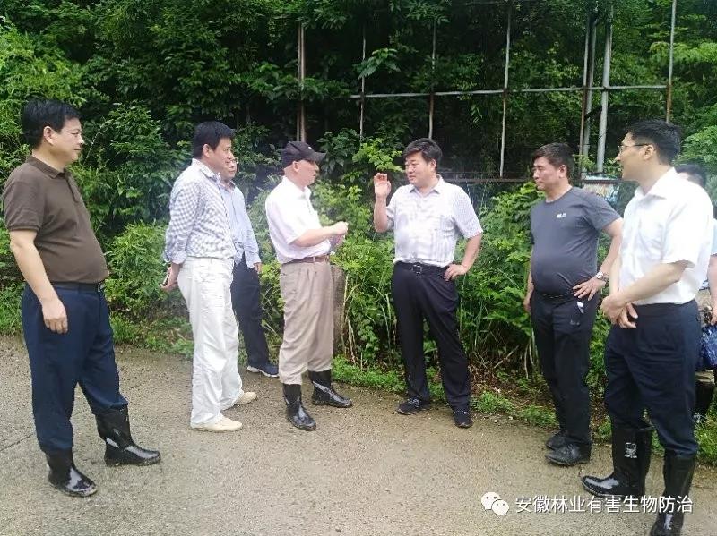 国家林草局---宁国市检查
