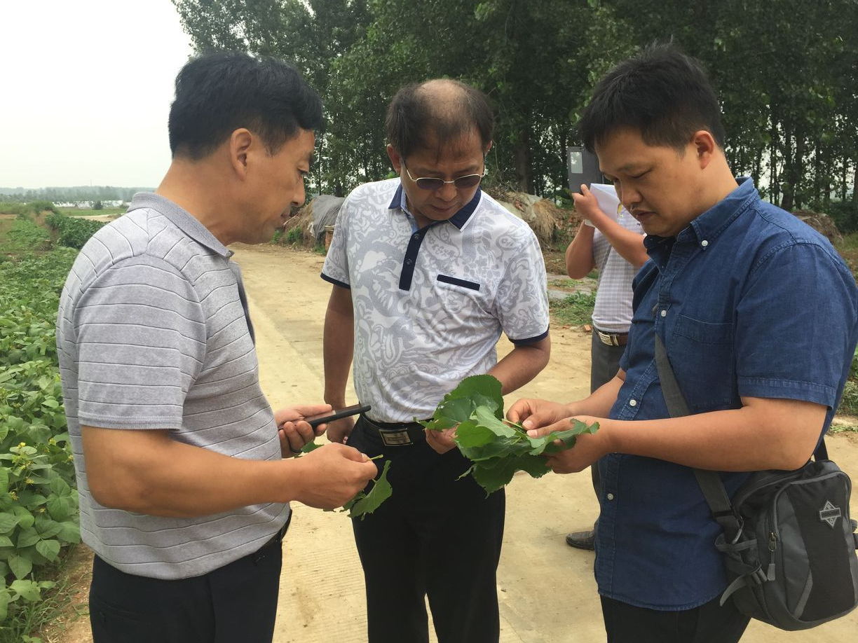 公司加入肥东2018飞防项目第一次验收